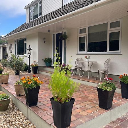 Woodland House B & B Wimborne Minster Exterior foto